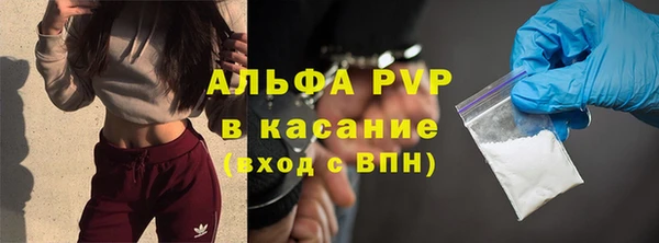 PSILOCYBIN Семикаракорск